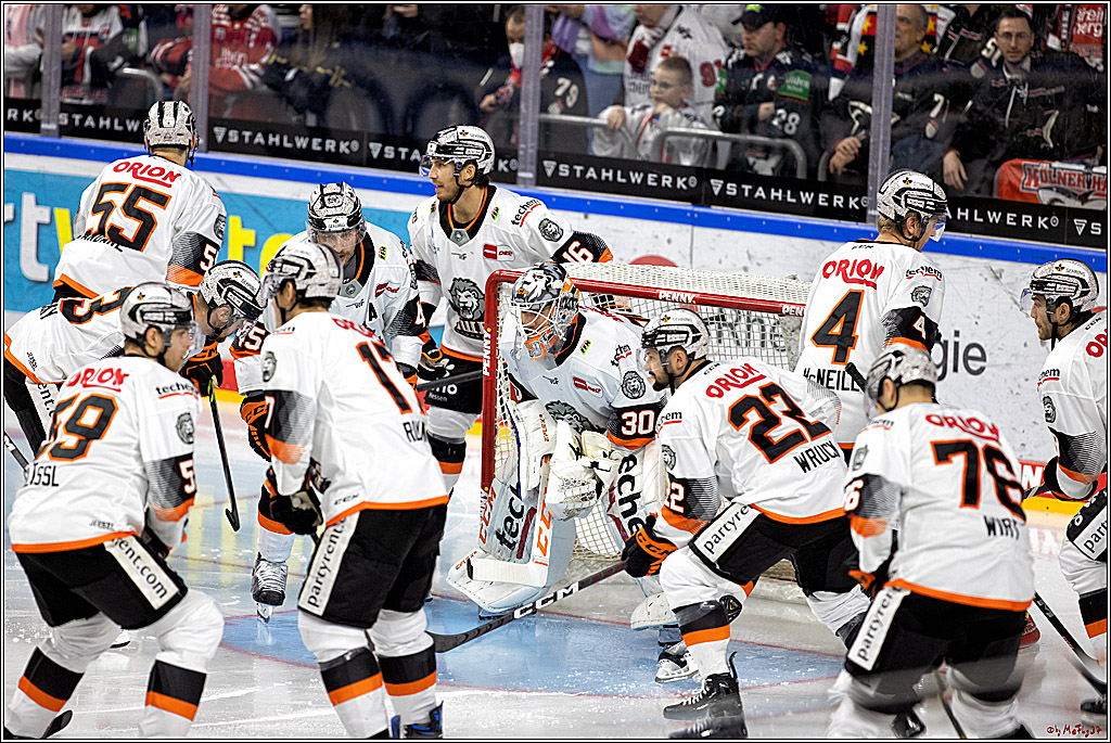 PENNY DEL;  Kölner Haie - Löwen Frankfurt; Köln, 01.12.2022